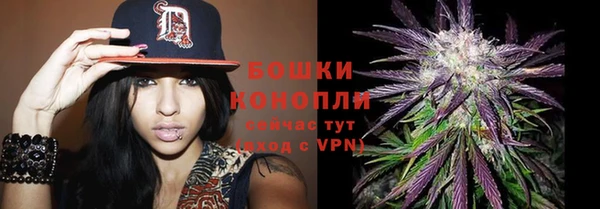 твердый Кодинск