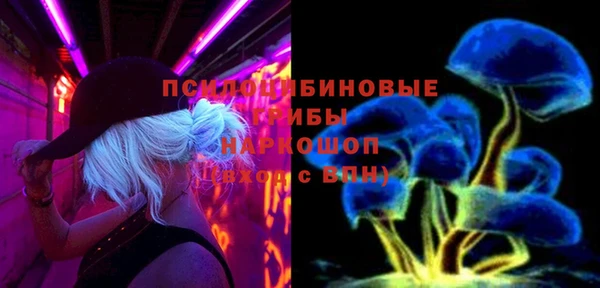 гашик Коряжма