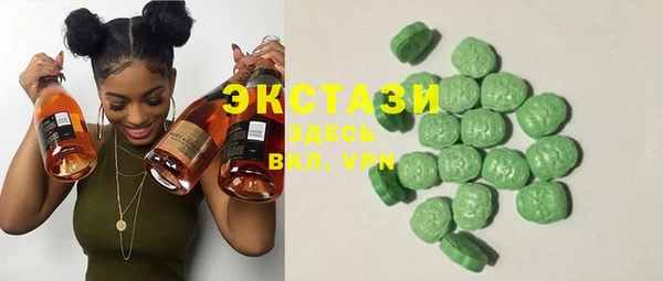 гашик Коряжма