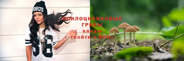 мескалин Козловка