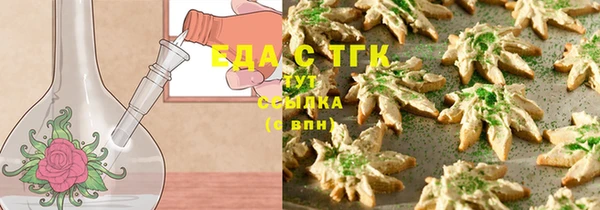 гашик Коряжма