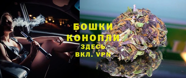гашик Коряжма