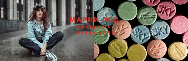 гашик Коряжма